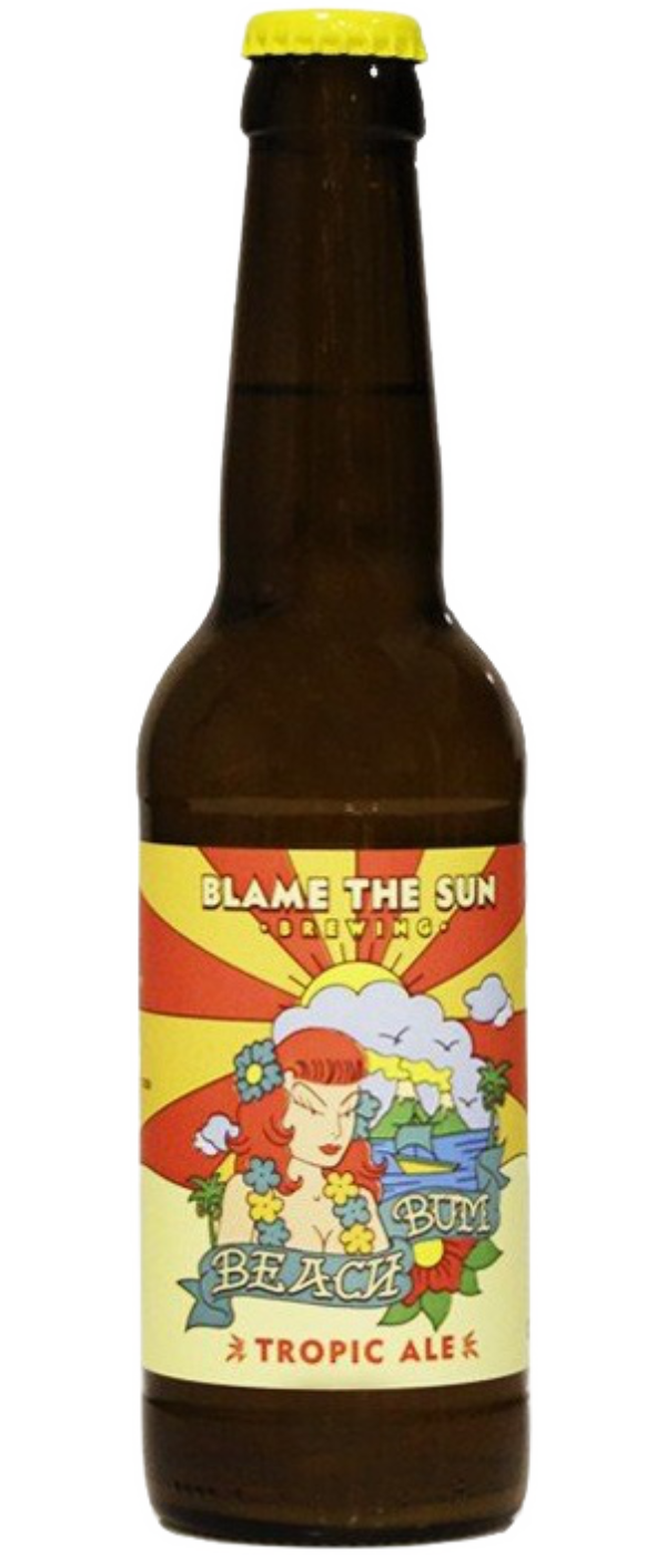 BLAME THE SUN BEACHBUM 330ML